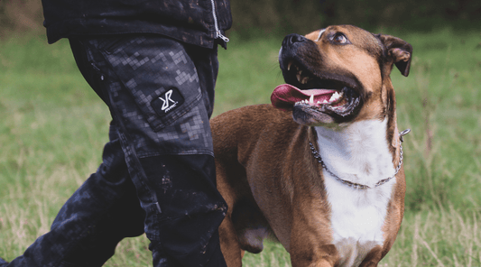The Power of Sports Obedience: Building a Stronger Relationship with Your Dog - Top Tier Dog Gear