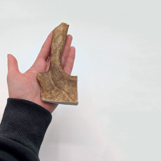 Antler Chew Fallow Antler – Durable, natural chew for dogs, supports dental health, joint care, and mental stimulation.