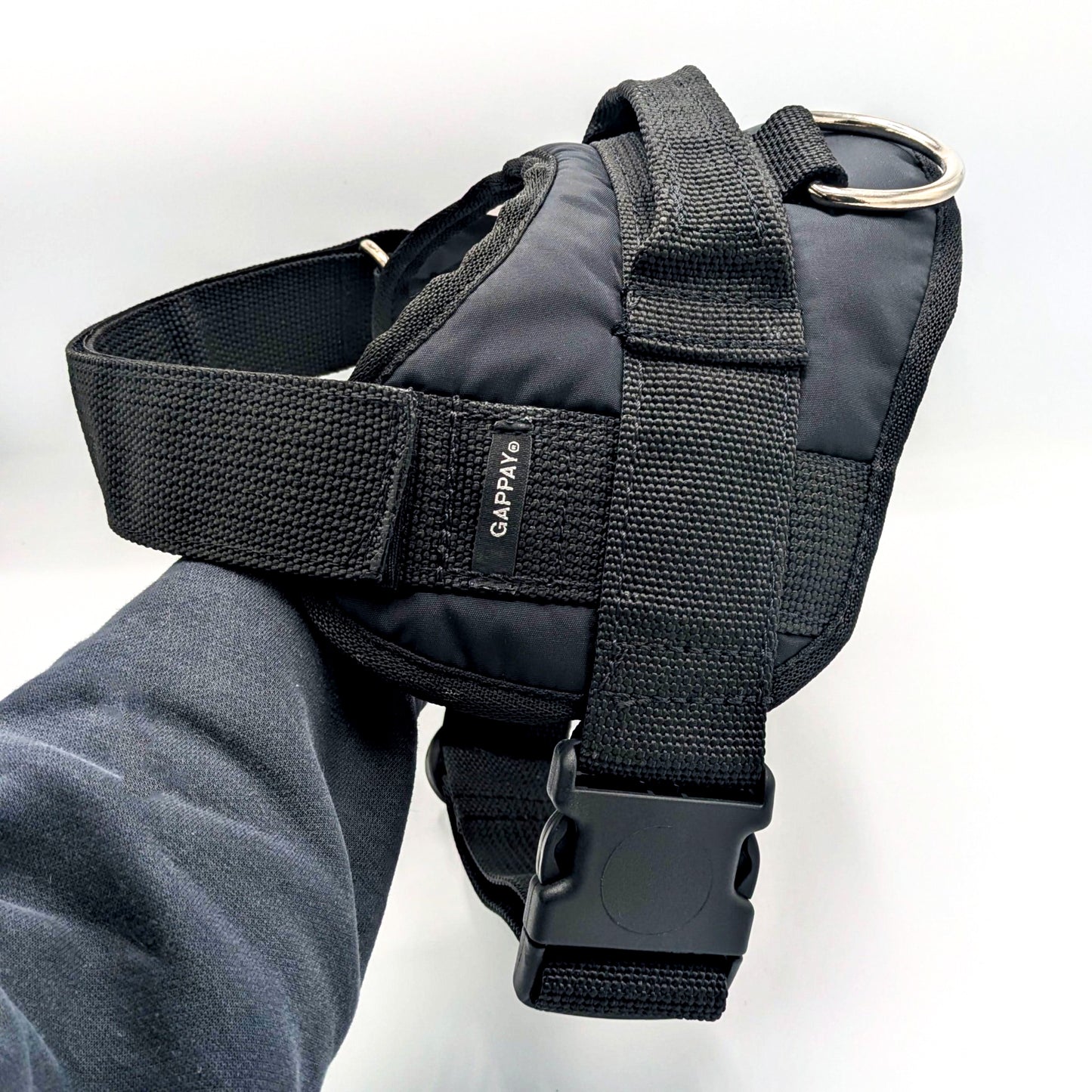 Gappay Rex Harness – Durable, adjustable harness with stainless steel ring for control, protection work & obedience training.