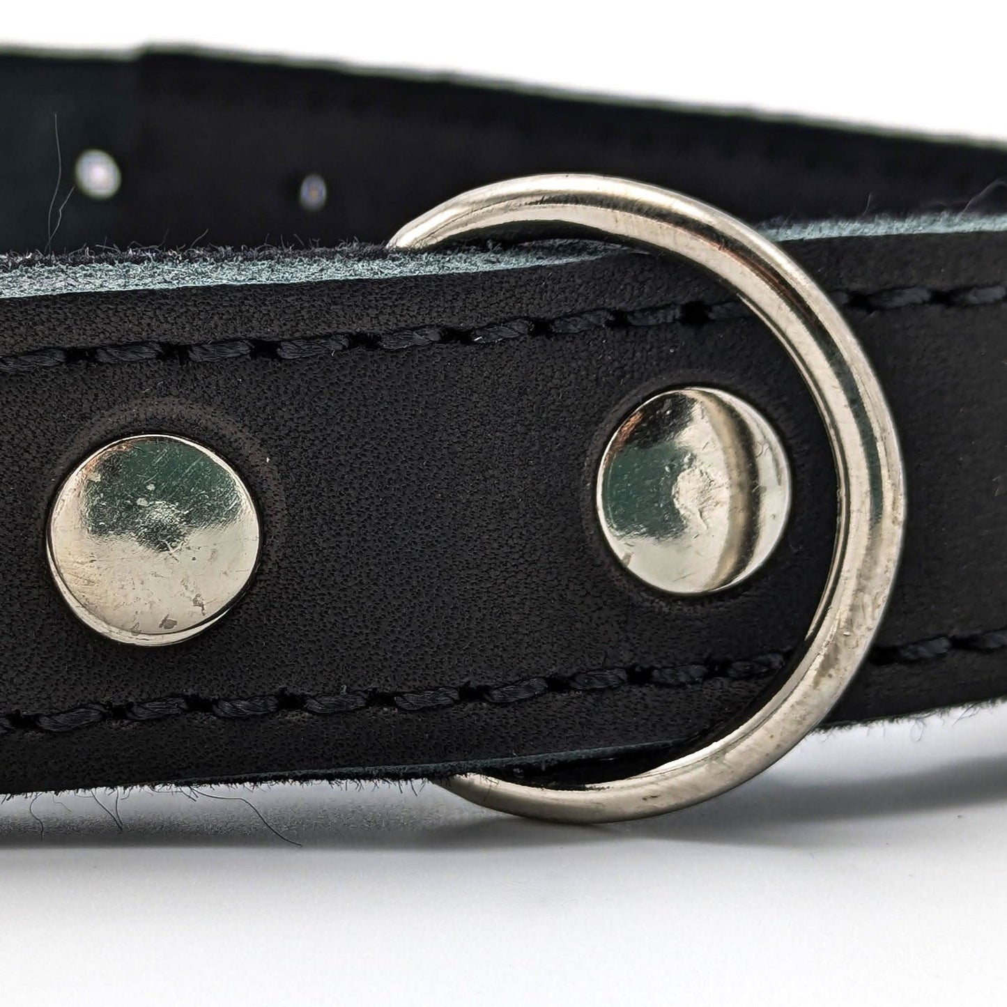 Gappay Leather Collar – Soft leather, stainless steel buckle, adjustable fit for comfort, control, and stylish everyday wear.
