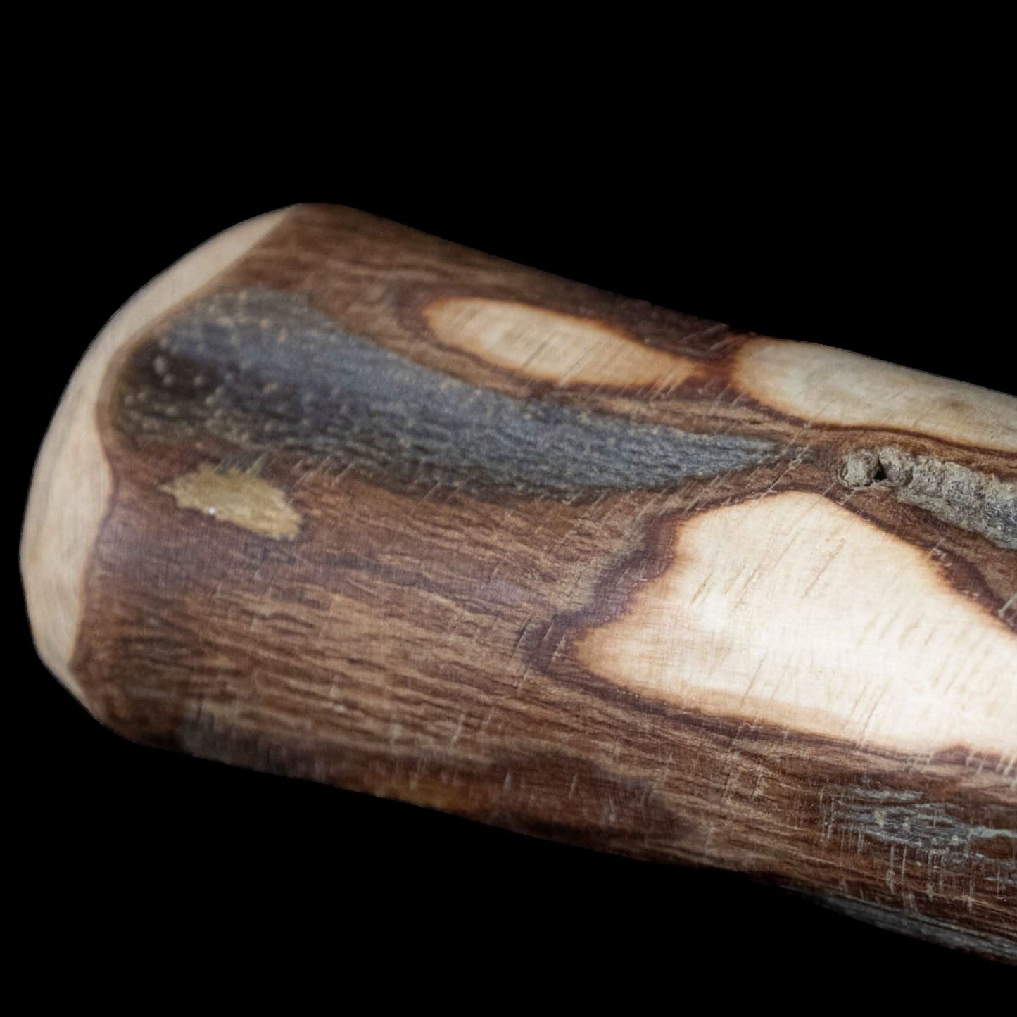Top Tier Jumbo Olive Wood Chews – Durable, mineral-rich chew for large dogs. Promotes dental health, odourless, and mess-free.