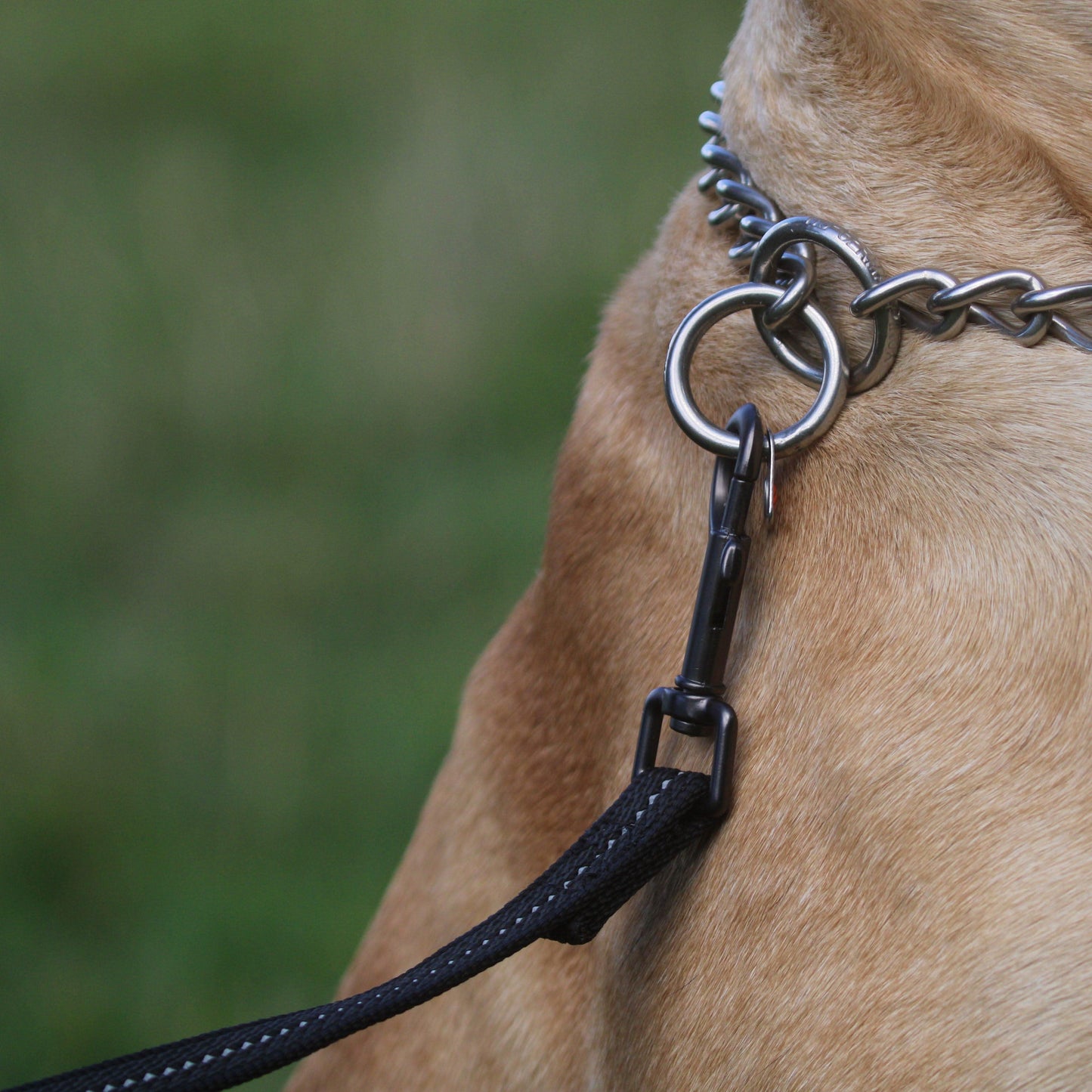 Reflective Rubberised Grip Lead – High-visibility, non-slip grip lead with reflective stitching and heavy-duty carabiner for secure control in all weather.