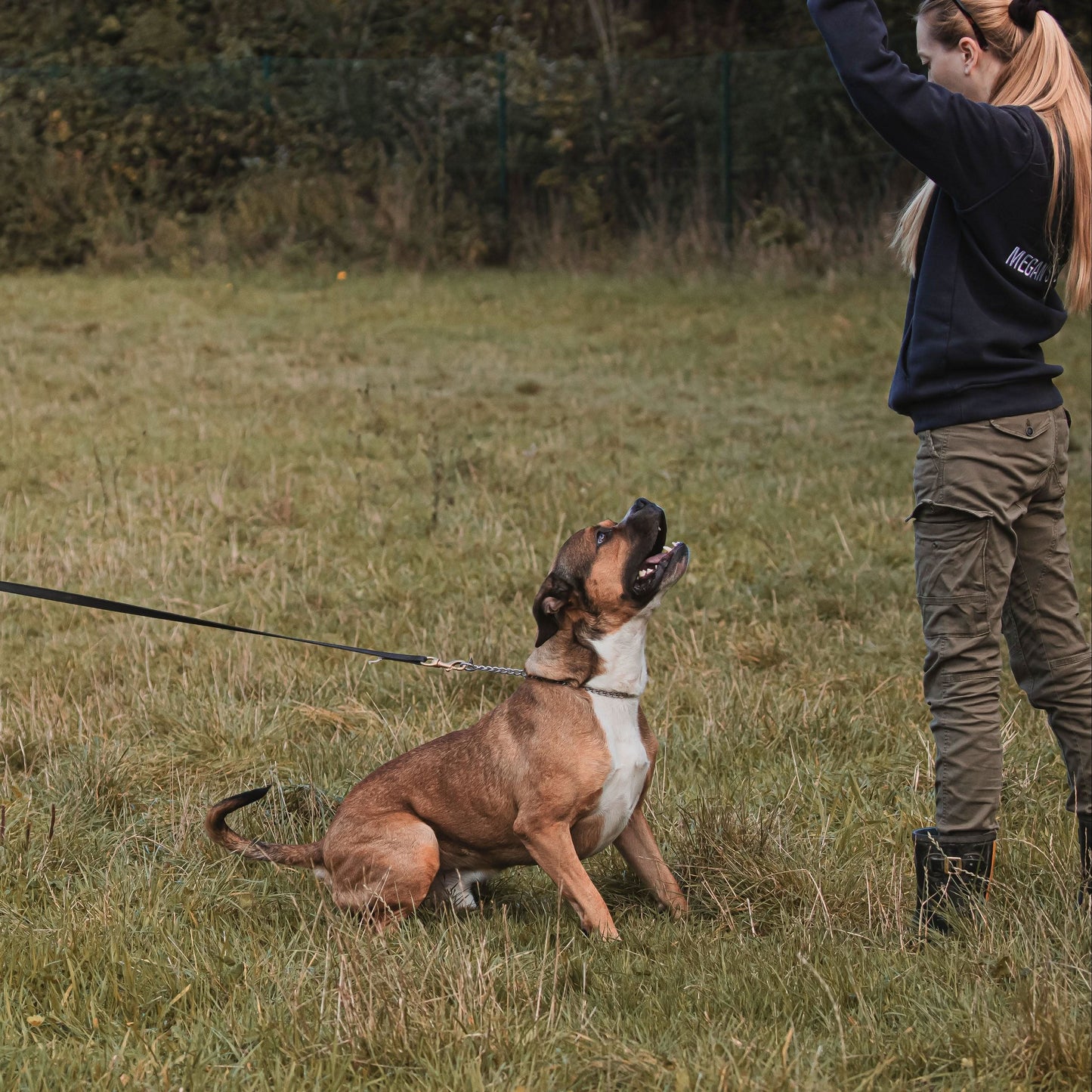 Tough rubberised long line lead for dogs with brass carabiner – secure handling during training, walks, and outdoor use.
