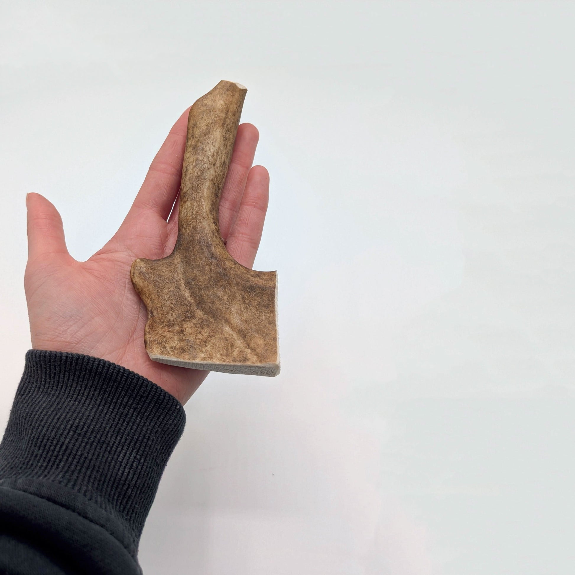 Antler Chew Fallow Antler – Durable, natural chew for dogs, supports dental health, joint care, and mental stimulation.