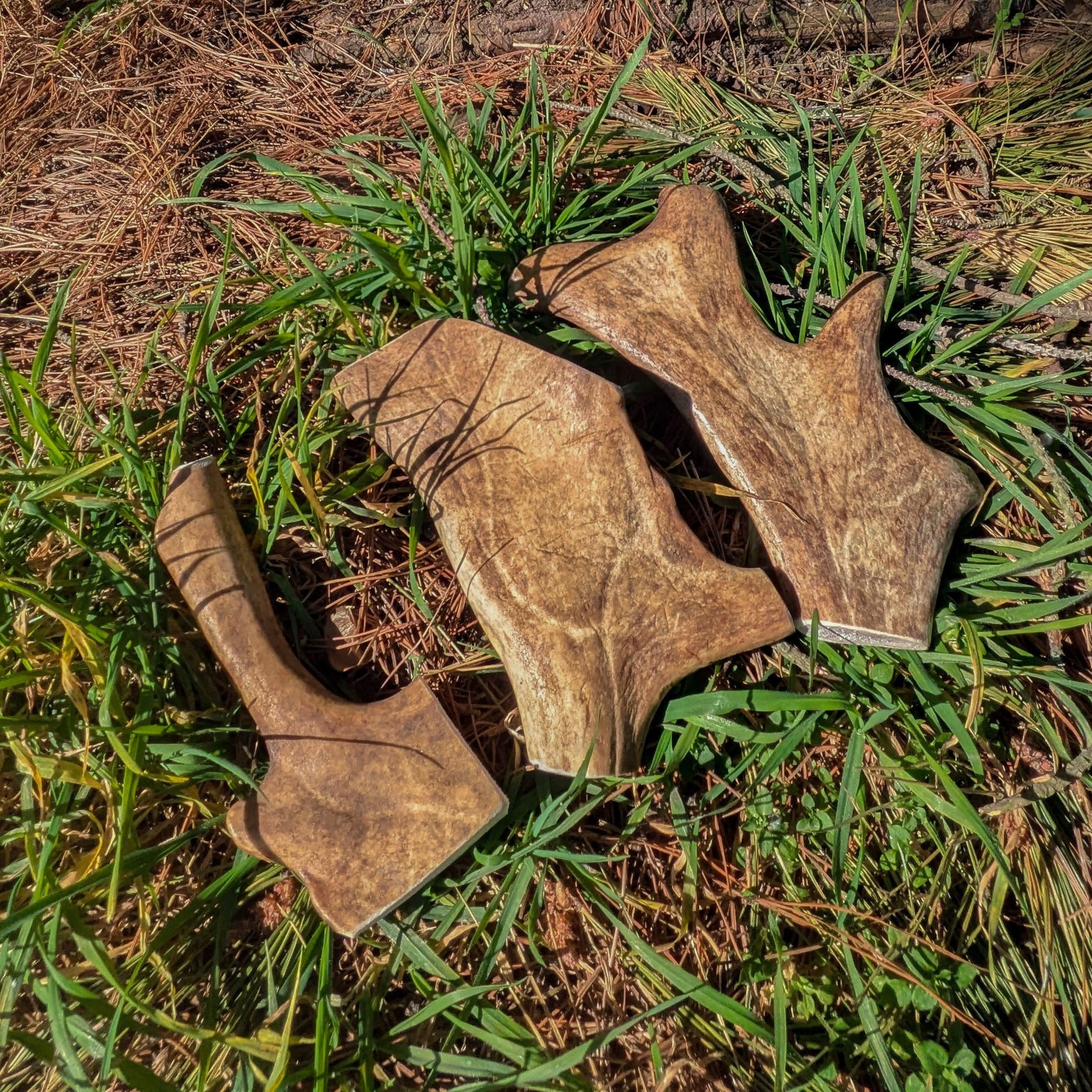 Antler Chew Fallow Antler – Durable, natural chew for dogs, supports dental health, joint care, and mental stimulation.