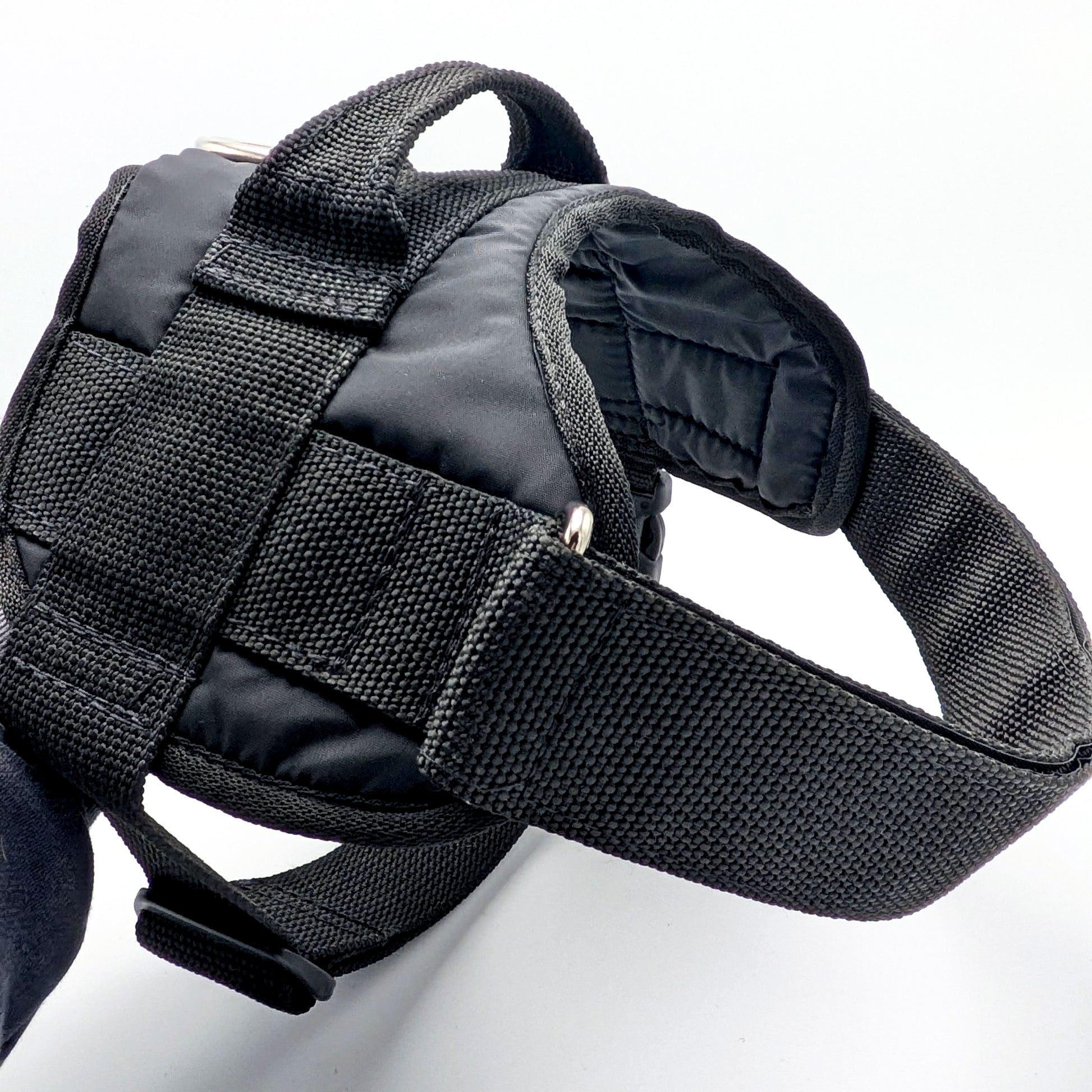 Gappay Rex Harness – Durable, adjustable harness with stainless steel ring for control, protection work & obedience training.