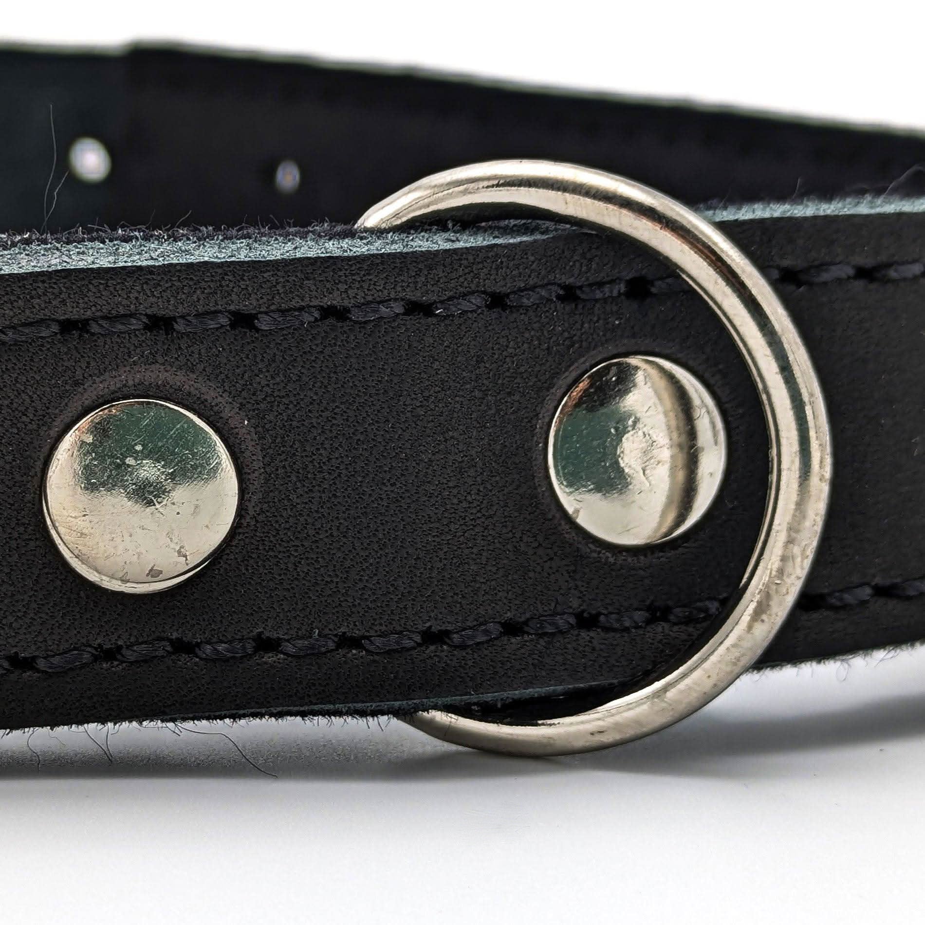 Gappay Leather Collar – Soft leather, stainless steel buckle, adjustable fit for comfort, control, and stylish everyday wear.