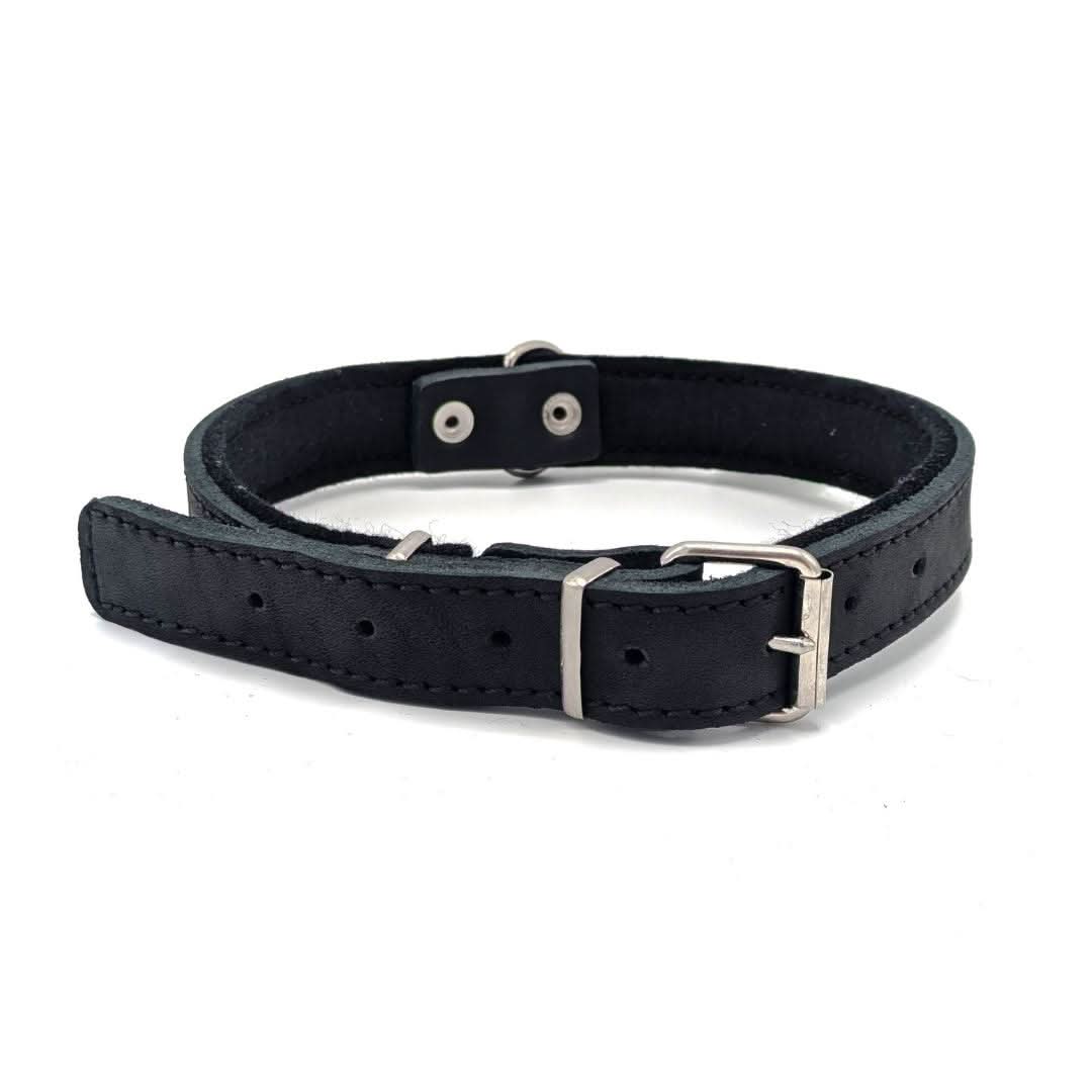 Gappay Leather Collar – Soft leather, stainless steel buckle, adjustable fit for comfort, control, and stylish everyday wear.