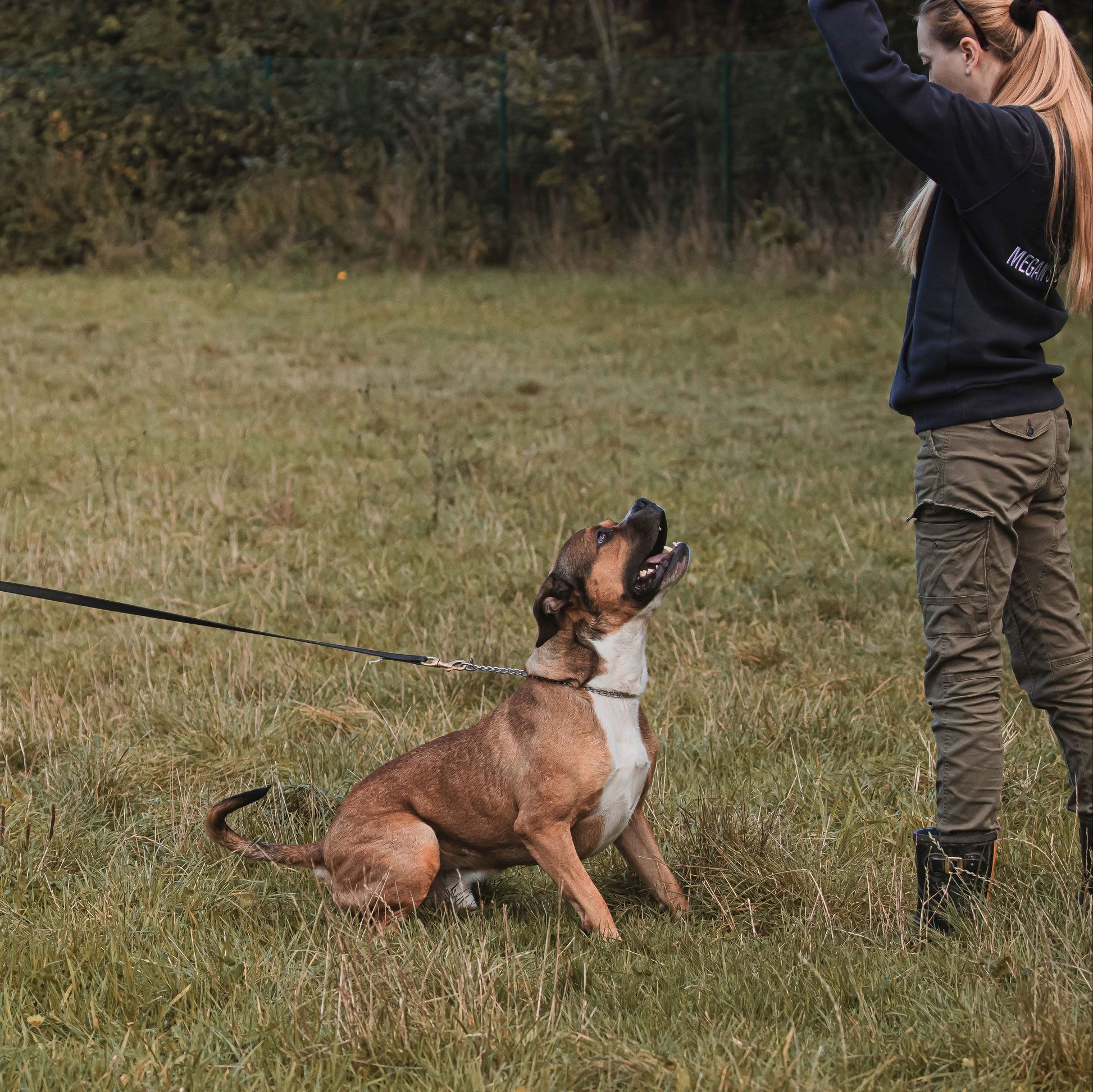 Tough rubberised long line lead for dogs with brass carabiner – secure handling during training, walks, and outdoor use.