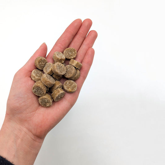 Top Tier Quail & Blueberry Bites – Grain-free, protein-rich treats with quail, blueberries, and sweet potato for training and snacking.