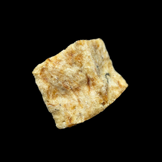 Top Tier White Fish Cubes – High-protein, Omega-3-rich training treats made from 100% natural whitefish, perfect for dogs of all ages.