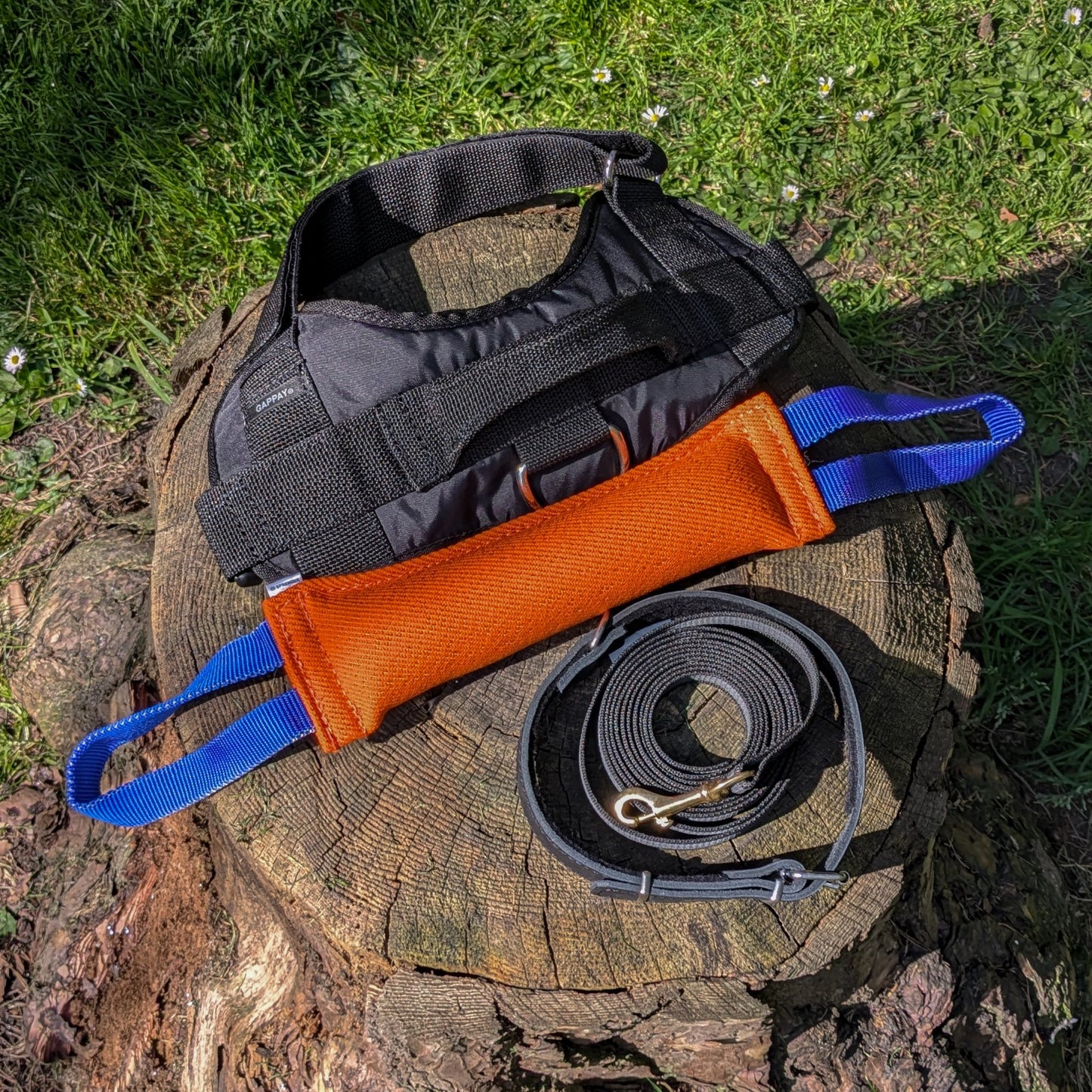 Top Tier Protection Training Bundle – Complete set of safe and effective tools for introductory dog protection training.