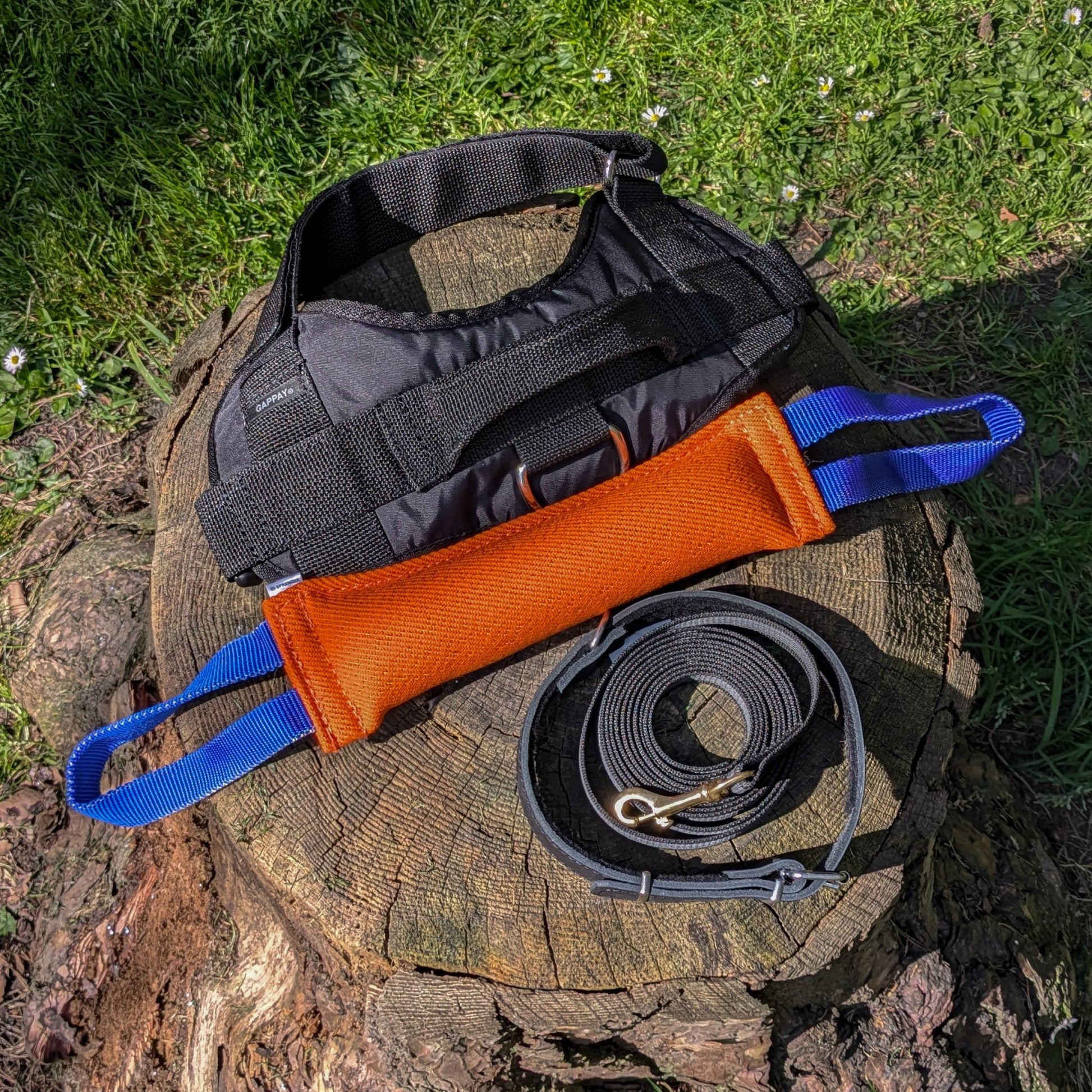Top Tier Protection Training Bundle – Complete set of safe and effective tools for introductory dog protection training.